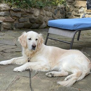 Meet your Posher, Sofie